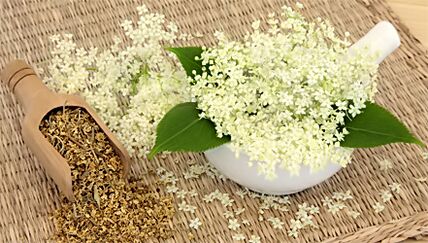 Grass para sa paggamot ng arthrosis