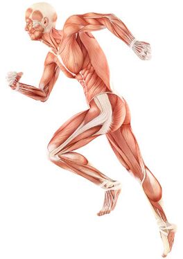 Paglabag sa neuromuscular pagkalugi